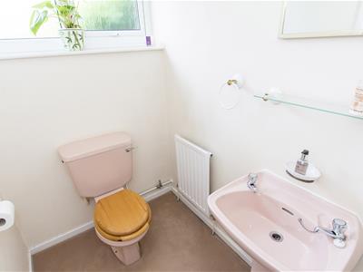 Picture 15